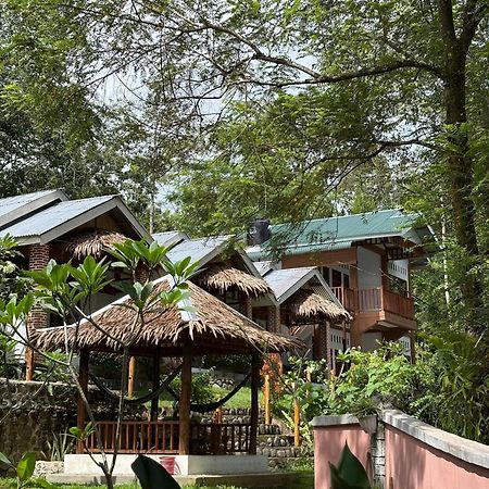 Asim Paris Guesthouse & Jungle Trekking Bukit Lawang Eksteriør bilde