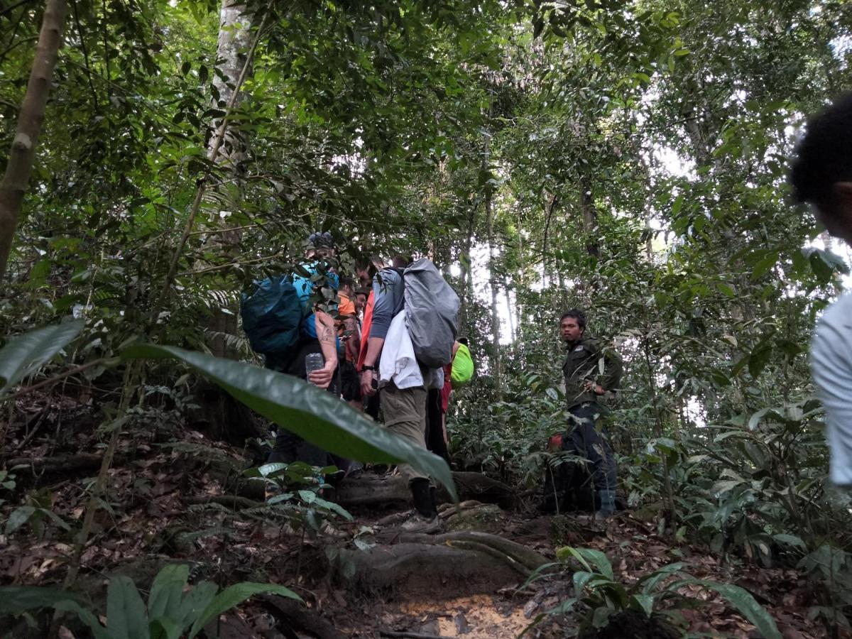 Asim Paris Guesthouse & Jungle Trekking Bukit Lawang Eksteriør bilde