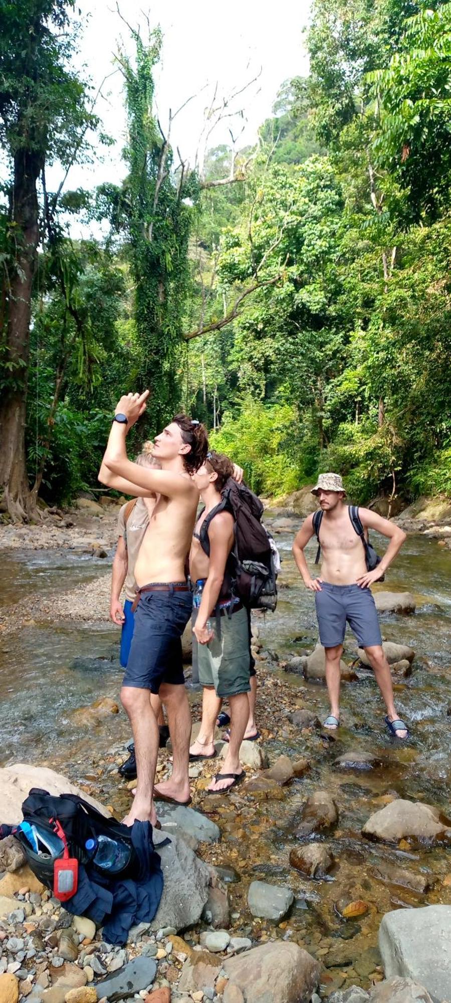 Asim Paris Guesthouse & Jungle Trekking Bukit Lawang Eksteriør bilde