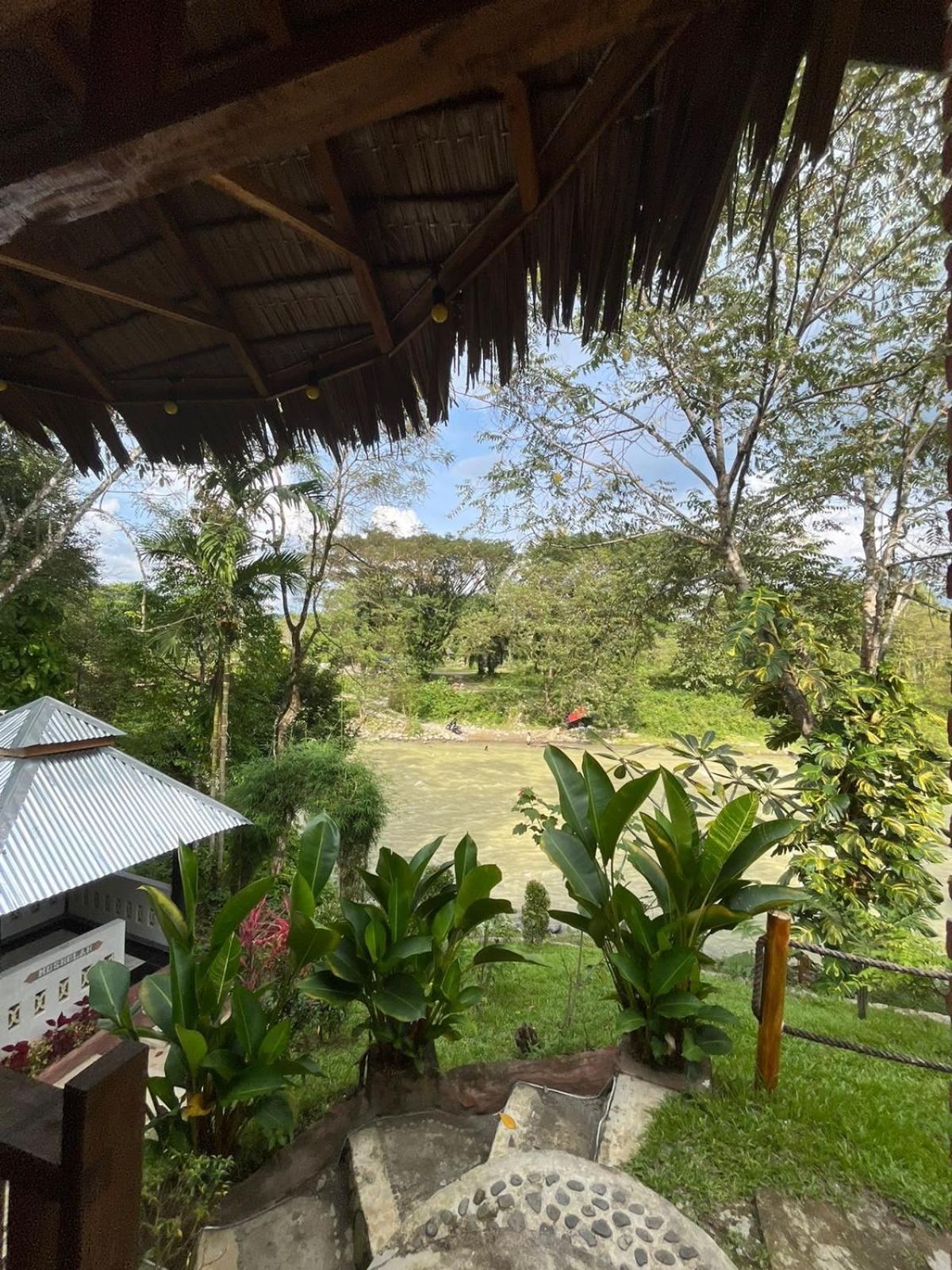Asim Paris Guesthouse & Jungle Trekking Bukit Lawang Eksteriør bilde