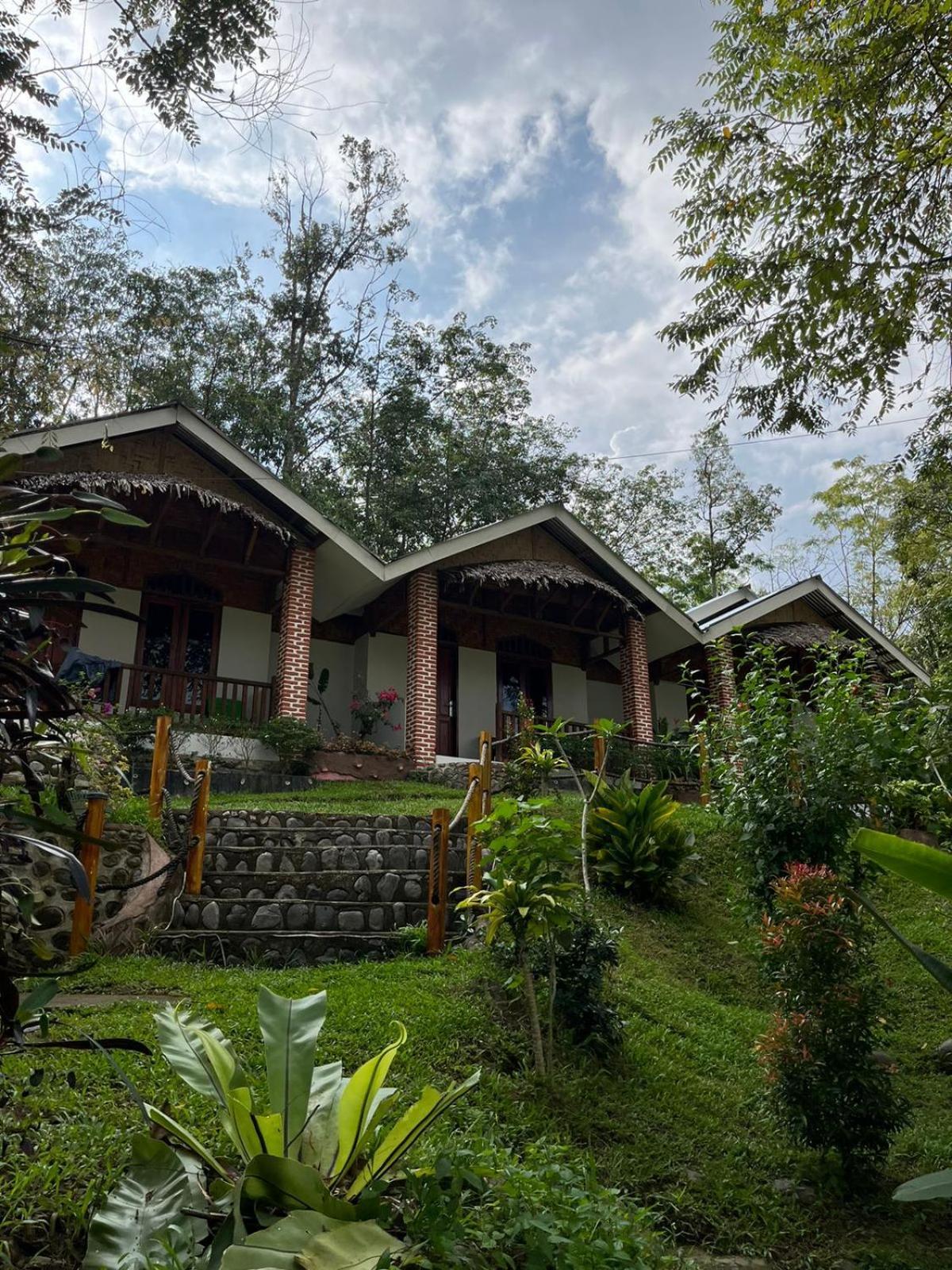 Asim Paris Guesthouse & Jungle Trekking Bukit Lawang Eksteriør bilde