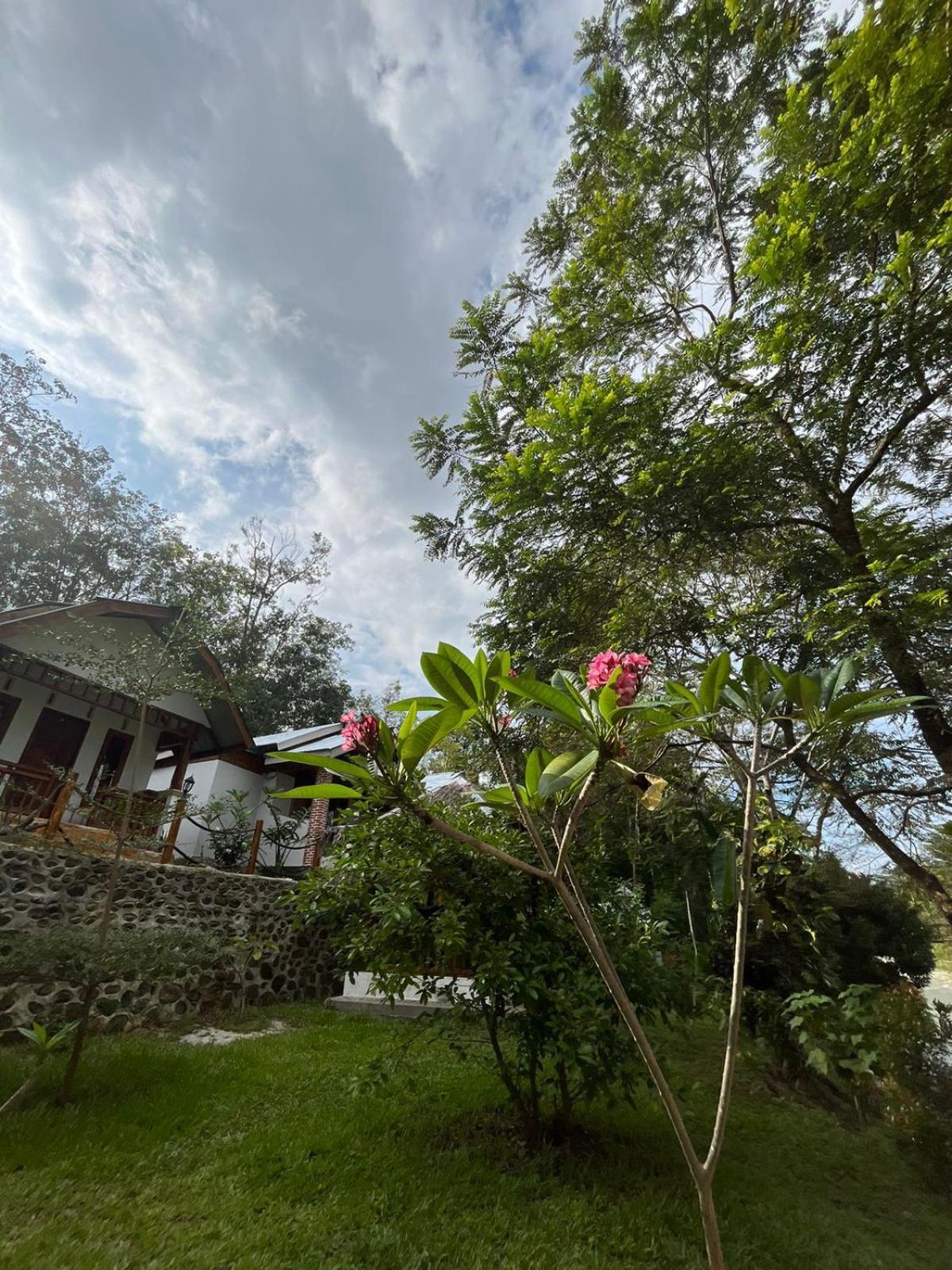 Asim Paris Guesthouse & Jungle Trekking Bukit Lawang Eksteriør bilde