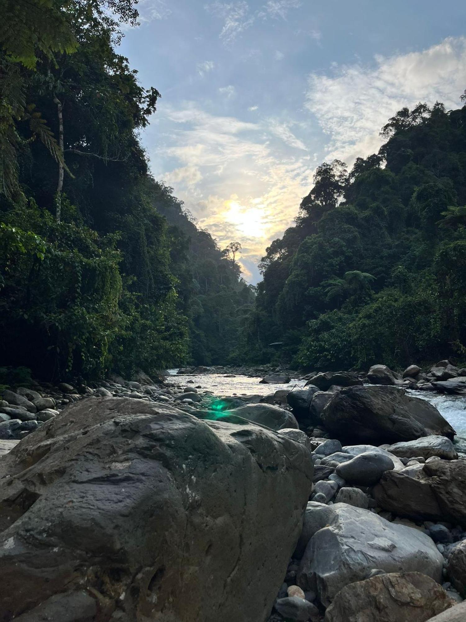 Asim Paris Guesthouse & Jungle Trekking Bukit Lawang Eksteriør bilde