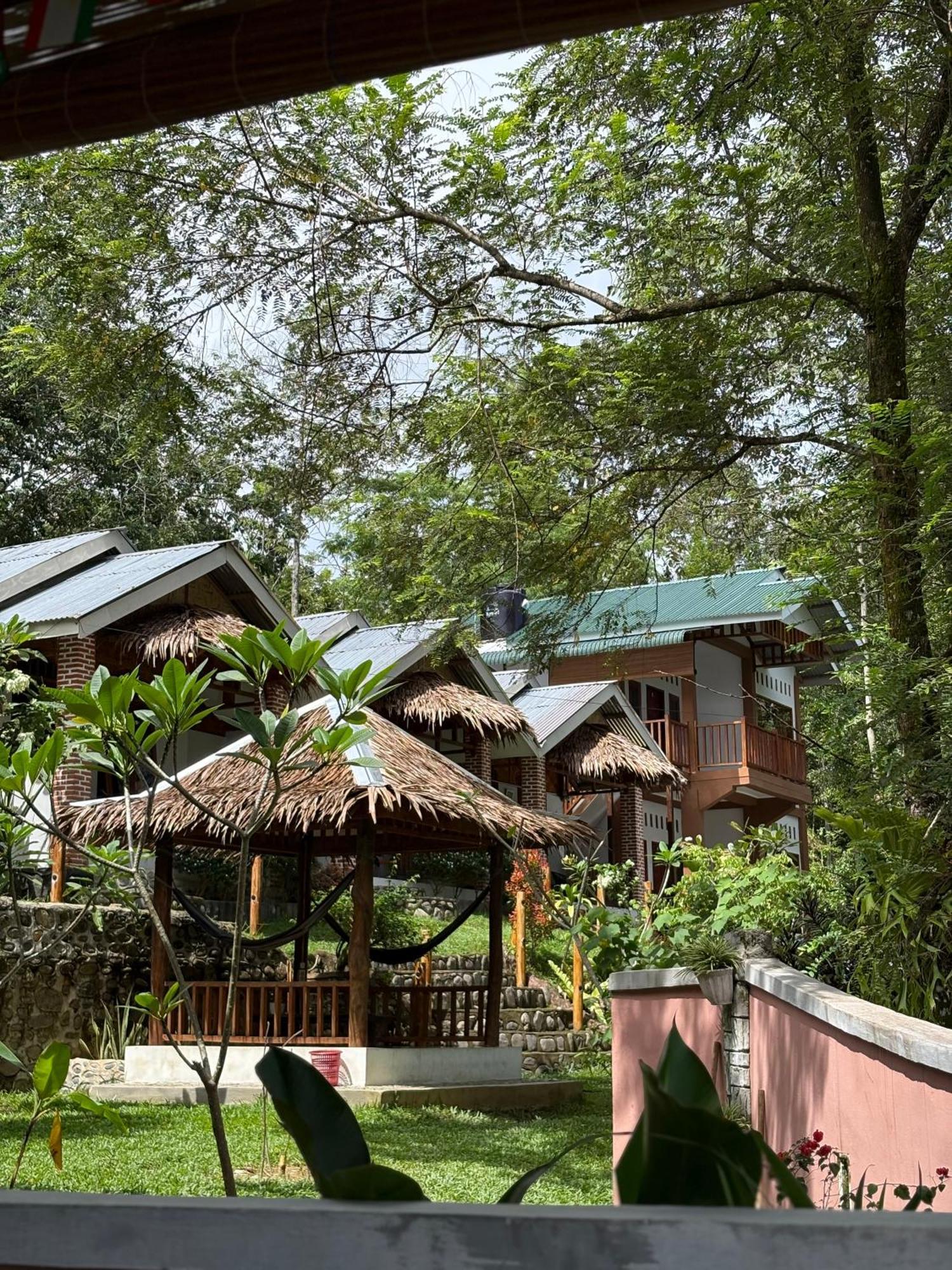 Asim Paris Guesthouse & Jungle Trekking Bukit Lawang Eksteriør bilde